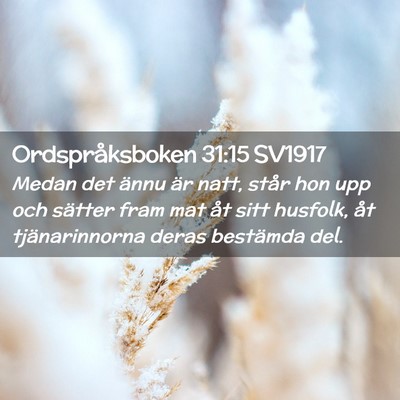 Picture 02 - Ordspråksboken 31:15 SV1917 - Medan det ännu är natt, står hon upp och - Bible Verse Picture