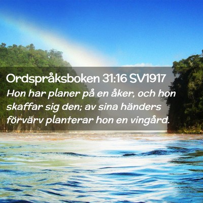 Picture 02 - Ordspråksboken 31:16 SV1917 - Hon har planer på en åker, och hon skaffar sig - Bible Verse Picture