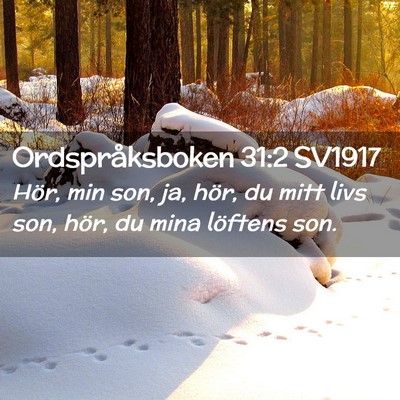 Picture 02 - Ordspråksboken 31:2 SV1917 - Hör, min son, ja, hör, du mitt livs son, hör, - Bible Verse Picture