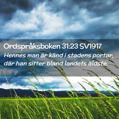 Picture 02 - Ordspråksboken 31:23 SV1917 - Hennes man är känd i stadens portar, där han - Bible Verse Picture