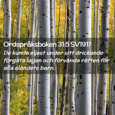 Picture 02 - Ordspråksboken 31:5 SV1917 - De kunde eljest under sitt drickande förgäta - Bible Verse Picture