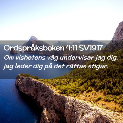 Picture 02 - Ordspråksboken 4:11 SV1917 - Om vishetens väg undervisar jag dig, jag leder - Bible Verse Picture