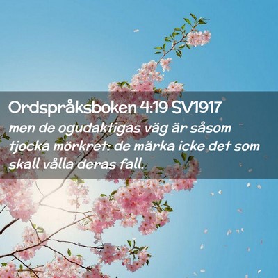 Picture 02 - Ordspråksboken 4:19 SV1917 - men de ogudaktigas väg är såsom tjocka - Bible Verse Picture
