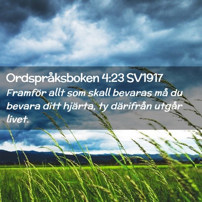 Picture 02 - Ordspråksboken 4:23 SV1917 - Framför allt som skall bevaras må du bevara - Bible Verse Picture