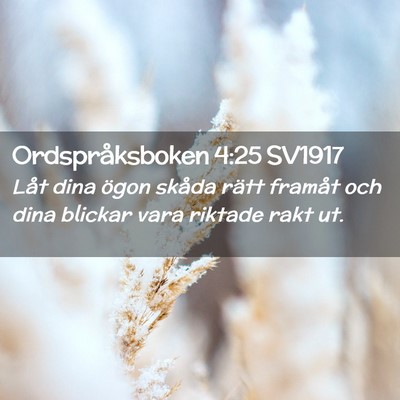 Picture 02 - Ordspråksboken 4:25 SV1917 - Låt dina ögon skåda rätt framåt och dina - Bible Verse Picture
