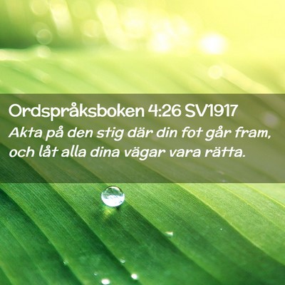 Picture 02 - Ordspråksboken 4:26 SV1917 - Akta på den stig där din fot går fram, och - Bible Verse Picture