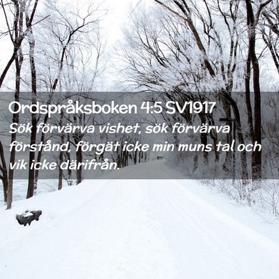 Picture 02 - Ordspråksboken 4:5 SV1917 - Sök förvärva vishet, sök förvärva - Bible Verse Picture