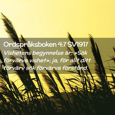 Picture 02 - Ordspråksboken 4:7 SV1917 - Vishetens begynnelse är: »Sök förvärva - Bible Verse Picture