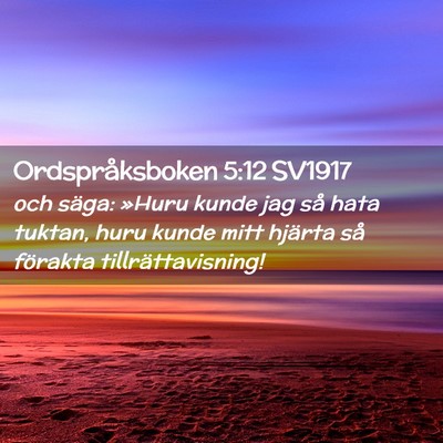 Picture 02 - Ordspråksboken 5:12 SV1917 - och säga: »Huru kunde jag så hata tuktan, huru - Bible Verse Picture