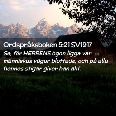 Picture 02 - Ordspråksboken 5:21 SV1917 - Se, för HERRENS ögon ligga var människas - Bible Verse Picture