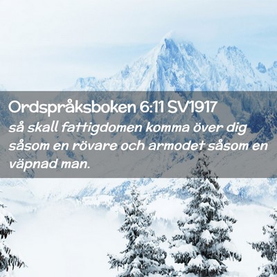 Picture 02 - Ordspråksboken 6:11 SV1917 - så skall fattigdomen komma över dig såsom en - Bible Verse Picture