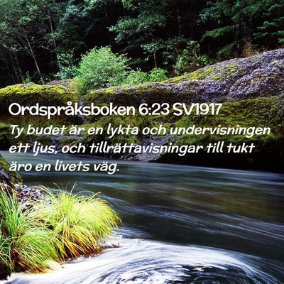 Picture 02 - Ordspråksboken 6:23 SV1917 - Ty budet är en lykta och undervisningen ett - Bible Verse Picture
