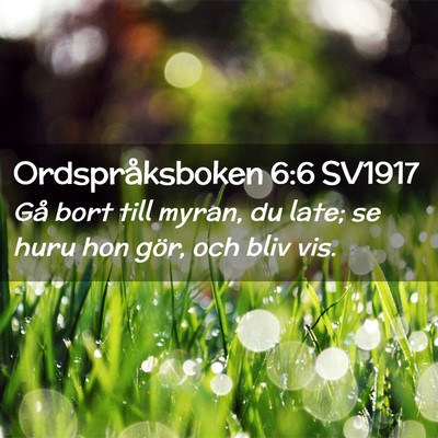 Picture 02 - Ordspråksboken 6:6 SV1917 - Gå bort till myran, du late; se huru hon gör, - Bible Verse Picture