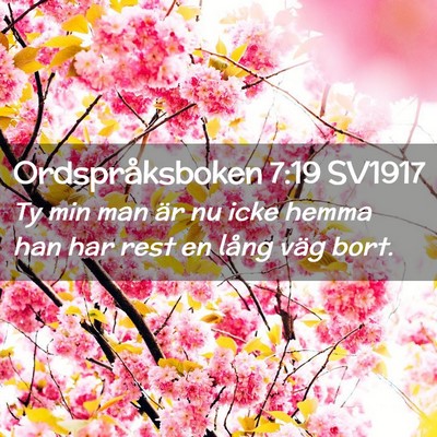 Picture 02 - Ordspråksboken 7:19 SV1917 - Ty min man är nu icke hemma han har rest en - Bible Verse Picture