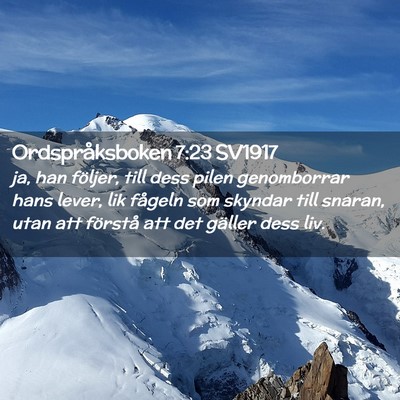Picture 02 - Ordspråksboken 7:23 SV1917 - ja, han följer, till dess pilen genomborrar hans - Bible Verse Picture