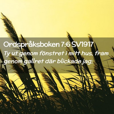 Picture 02 - Ordspråksboken 7:6 SV1917 - Ty ut genom fönstret i mitt hus, fram genom - Bible Verse Picture