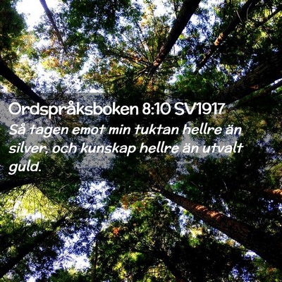 Picture 02 - Ordspråksboken 8:10 SV1917 - Så tagen emot min tuktan hellre än silver, och - Bible Verse Picture
