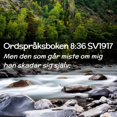 Picture 02 - Ordspråksboken 8:36 SV1917 - Men den som går miste om mig han skadar sig - Bible Verse Picture