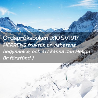 Picture 02 - Ordspråksboken 9:10 SV1917 - HERRENS fruktan är vishetens begynnelse, och att - Bible Verse Picture