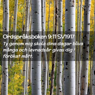 Picture 02 - Ordspråksboken 9:11 SV1917 - Ty genom mig skola dina dagar bliva många och - Bible Verse Picture