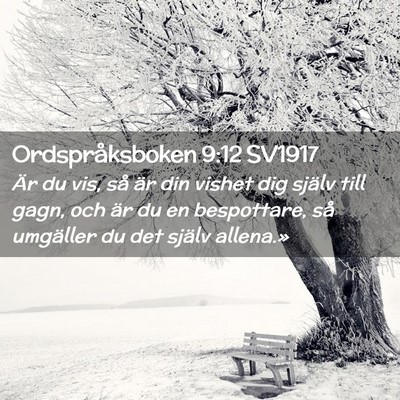Picture 02 - Ordspråksboken 9:12 SV1917 - Är du vis, så är din vishet dig själv till - Bible Verse Picture