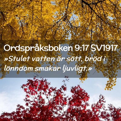 Picture 02 - Ordspråksboken 9:17 SV1917 - »Stulet vatten är sött, bröd i lönndom - Bible Verse Picture