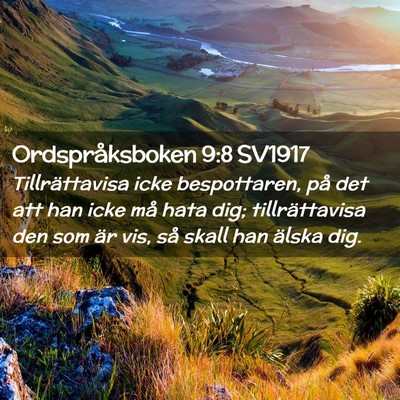 Picture 02 - Ordspråksboken 9:8 SV1917 - Tillrättavisa icke bespottaren, på det att han - Bible Verse Picture