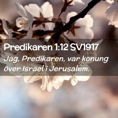 Picture 02 - Predikaren 1:12 SV1917 - Jag, Predikaren, var konung över Israel i - Bible Verse Picture
