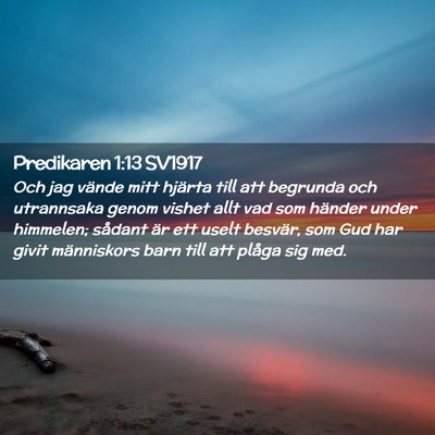 Picture 02 - Predikaren 1:13 SV1917 - Och jag vände mitt hjärta till att begrunda och - Bible Verse Picture