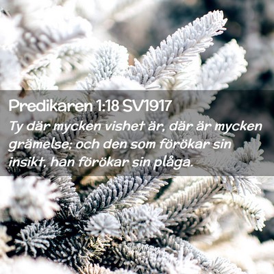 Picture 02 - Predikaren 1:18 SV1917 - Ty där mycken vishet är, där är mycken - Bible Verse Picture