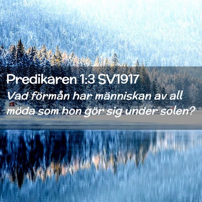 Picture 02 - Predikaren 1:3 SV1917 - Vad förmån har människan av all möda som hon - Bible Verse Picture