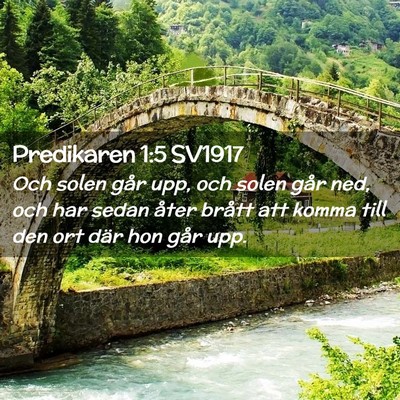 Picture 02 - Predikaren 1:5 SV1917 - Och solen går upp, och solen går ned, och har - Bible Verse Picture