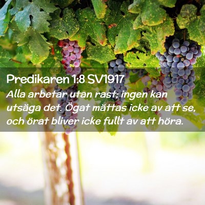 Picture 02 - Predikaren 1:8 SV1917 - Alla arbetar utan rast; ingen kan utsäga det. - Bible Verse Picture
