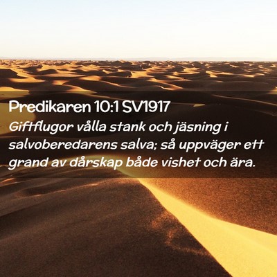 Picture 02 - Predikaren 10:1 SV1917 - Giftflugor vålla stank och jäsning i - Bible Verse Picture
