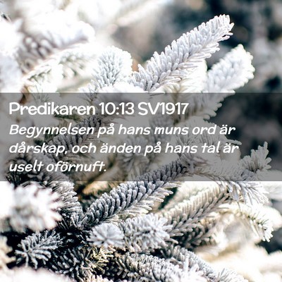 Picture 02 - Predikaren 10:13 SV1917 - Begynnelsen på hans muns ord är dårskap, och - Bible Verse Picture