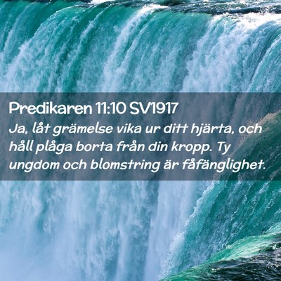 Picture 02 - Predikaren 11:10 SV1917 - Ja, låt grämelse vika ur ditt hjärta, och - Bible Verse Picture