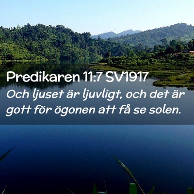 Picture 02 - Predikaren 11:7 SV1917 - Och ljuset är ljuvligt, och det är gott för - Bible Verse Picture