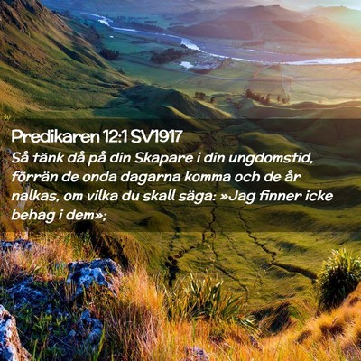 Picture 02 - Predikaren 12:1 SV1917 - Så tänk då på din Skapare i din ungdomstid, - Bible Verse Picture
