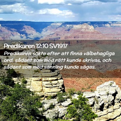 Picture 02 - Predikaren 12:10 SV1917 - Predikaren sökte efter att finna välbehagliga - Bible Verse Picture