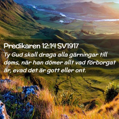 Picture 02 - Predikaren 12:14 SV1917 - Ty Gud skall draga alla gärningar till doms, - Bible Verse Picture