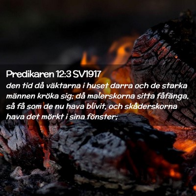 Picture 02 - Predikaren 12:3 SV1917 - den tid då väktarna i huset darra och de starka - Bible Verse Picture
