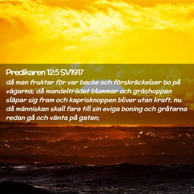 Picture 02 - Predikaren 12:5 SV1917 - då man fruktar för var backe och - Bible Verse Picture
