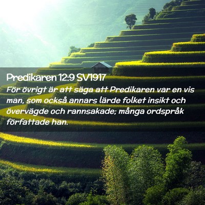 Picture 02 - Predikaren 12:9 SV1917 - För övrigt är att säga att Predikaren var en - Bible Verse Picture
