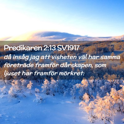 Picture 02 - Predikaren 2:13 SV1917 - då insåg jag att visheten väl har samma - Bible Verse Picture