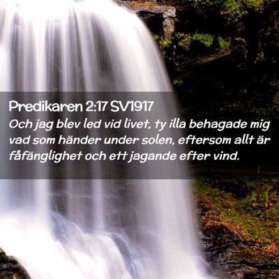 Picture 02 - Predikaren 2:17 SV1917 - Och jag blev led vid livet, ty illa behagade mig - Bible Verse Picture