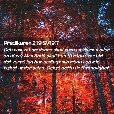 Picture 02 - Predikaren 2:19 SV1917 - Och vem vet om denne skall vara en vis man eller - Bible Verse Picture