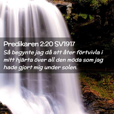 Picture 02 - Predikaren 2:20 SV1917 - Så begynte jag då att åter förtvivla i mitt - Bible Verse Picture