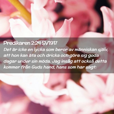 Picture 02 - Predikaren 2:24 SV1917 - Det är icke en lycka som beror av människan - Bible Verse Picture