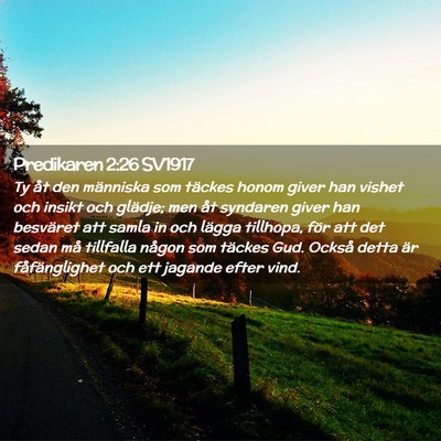 Picture 02 - Predikaren 2:26 SV1917 - Ty åt den människa som täckes honom giver han - Bible Verse Picture