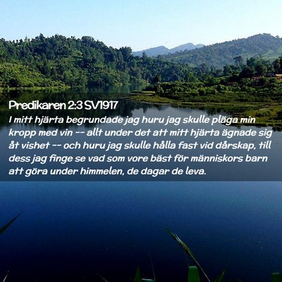 Picture 02 - Predikaren 2:3 SV1917 - I mitt hjärta begrundade jag huru jag skulle - Bible Verse Picture